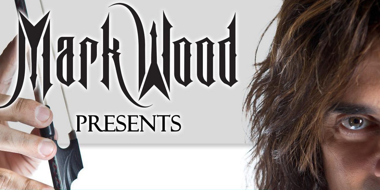 study Violin with recording artist, performer, producer, inventor, Emmy-winning composer Mark Wood!