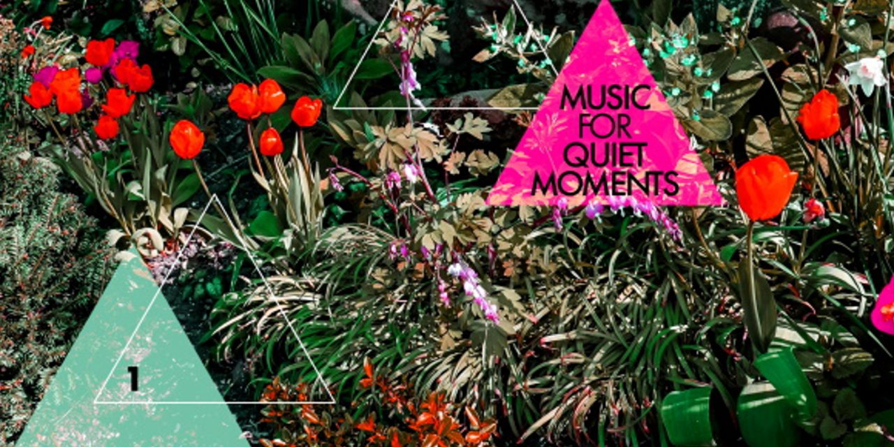 DGM Records Launches Robert Fripp “Music for Quiet Moments” Series