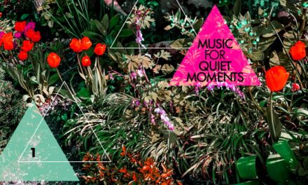 DGM Records Launches Robert Fripp “Music for Quiet Moments” Series