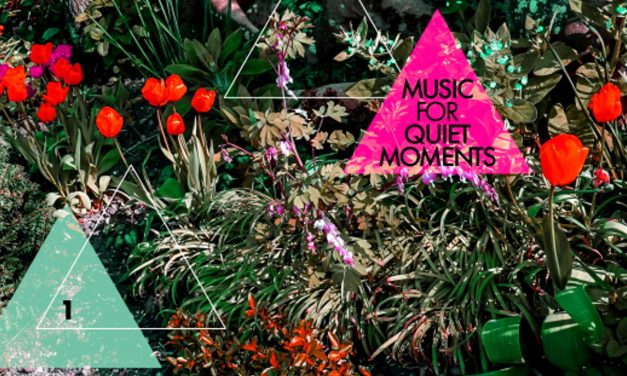 DGM Records Launches Robert Fripp “Music for Quiet Moments” Series