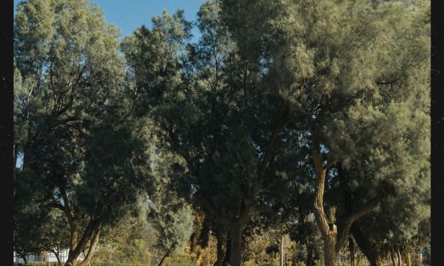 Garage Rock duo, THE DODIES, will release their debut album “It’s One Hell of a Ride” on April 24, 2020