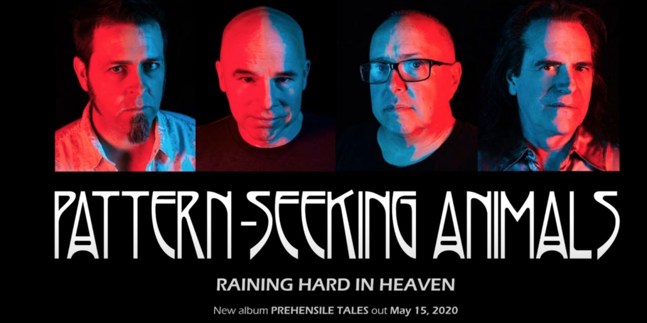 PATTERN-SEEKING ANIMALS release second track “Raining Hard in Heaven” off forthcoming studio album ‘Prehensile Tales’!