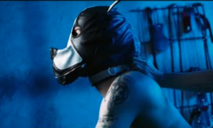 Dogs on the Leash [OFFICIAL VIDEO] The O’Reillys and the Paddyhats