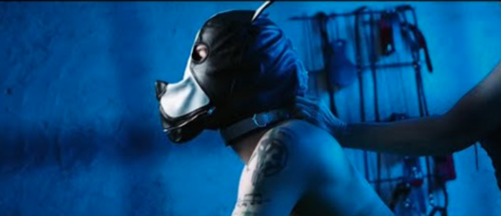 Dogs on the Leash [OFFICIAL VIDEO] The O’Reillys and the Paddyhats