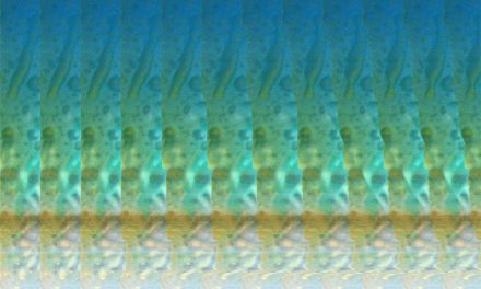 Psychedelic Folk/ Blues-Rock Quartet Lemurian Folk Songs Releases New Album Logos!