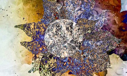 CITIZEN K – III – PARAPLY RECORDS