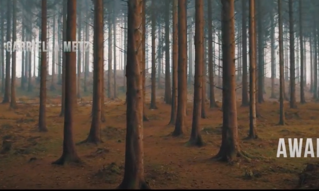 Gabriella Metz New Video and Single “Awake” from “Breaking Infinity”
