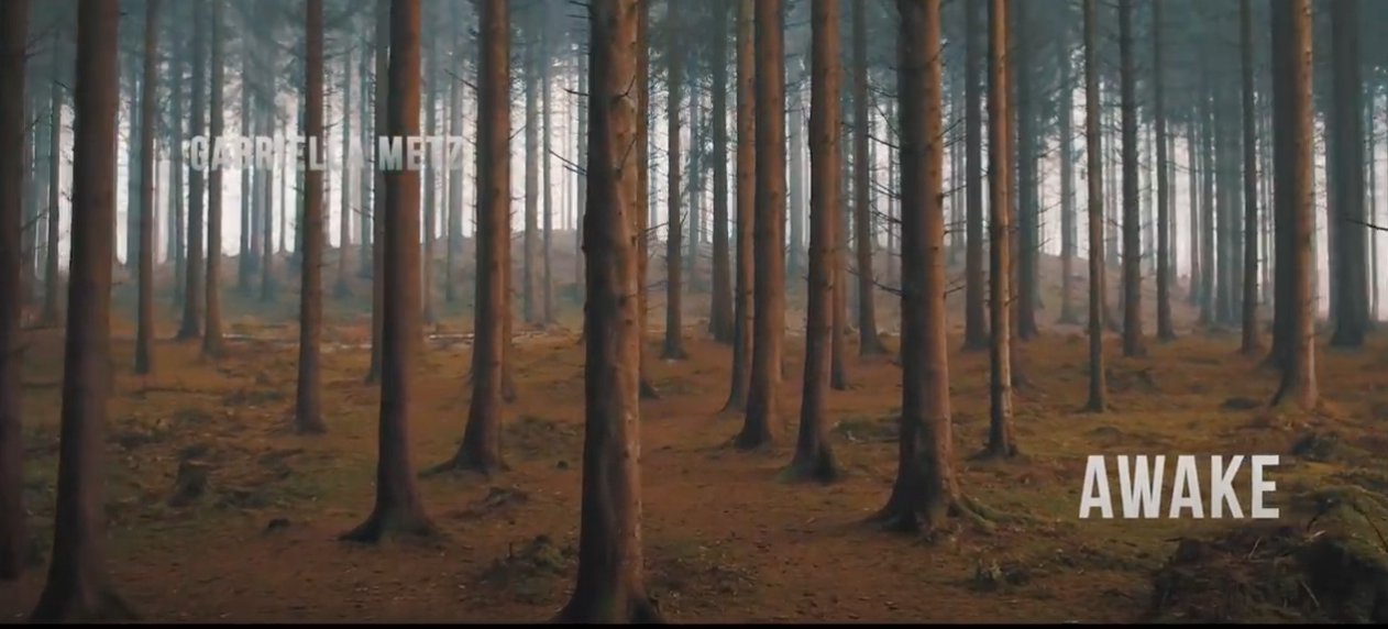 Gabriella Metz New Video and Single “Awake” from “Breaking Infinity”
