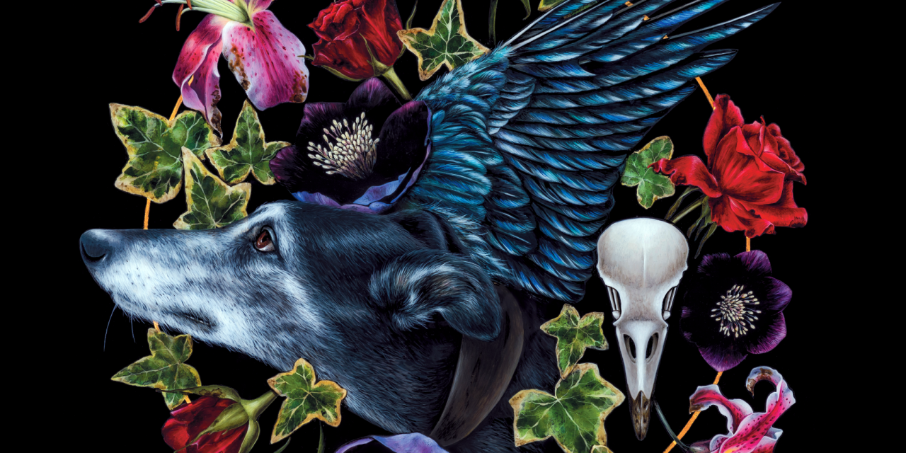 Judy Dyble (ex Fairport Convention, Trader Home) and David Longdon (Big Big Train) have collaborated on a new album Between A Breath And A Breath to be released on 25th September.