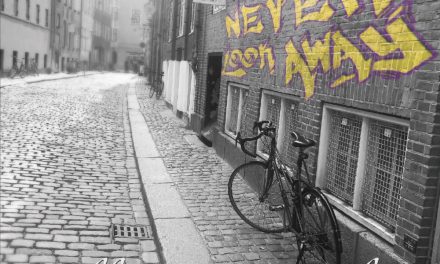 ALLISON VONBUELOW – NEVER LOOK AWAY – PEACOCK SUNRISE RECORDS