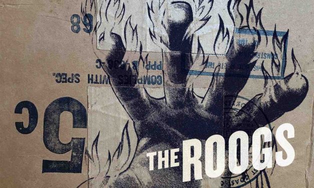 OUT FRIDAY: LA alternative pop-rock duo THE ROOGS present eponymous debut LP (RIYL Washed Out, Dif Juz, This Mortal Coil, Massive Attack, DJ Shadow, Portishead)