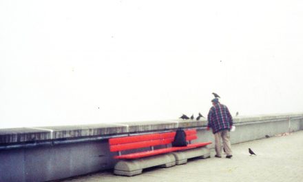 CALEB DOLISTER – DAILY THUMBPRINT COLLECTION 3, THE WANDERING – ORENDA RECORDS