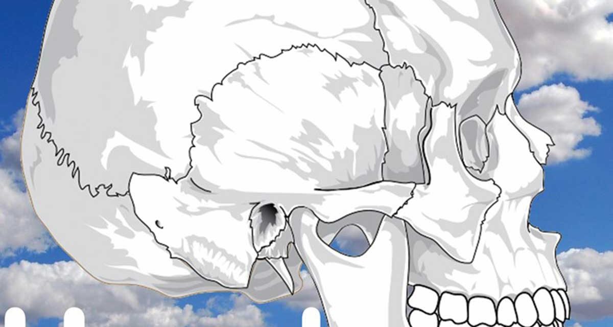 VARIOUS ARTISTS HEAD IN THE CLOUDS FRUITS DE MER RECORDS