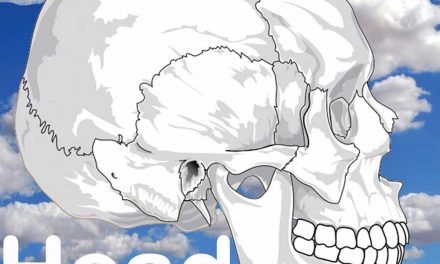 VARIOUS ARTISTS HEAD IN THE CLOUDS FRUITS DE MER RECORDS