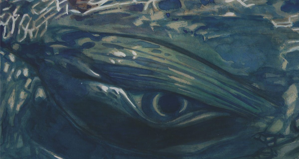 ÁNGEL ONTALVA & VESPERO – CARTA MARINA – INDEPENDENT