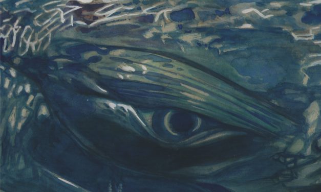 ÁNGEL ONTALVA & VESPERO – CARTA MARINA – INDEPENDENT