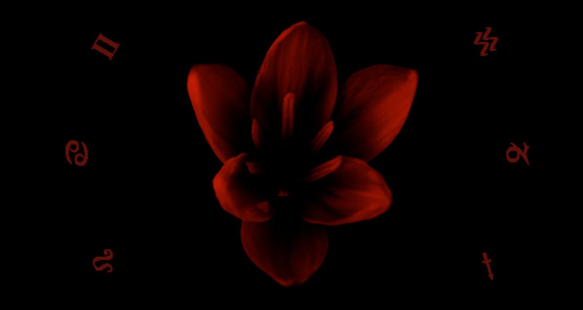 MALACHIM – VITASPHERE – AAA RECORDS