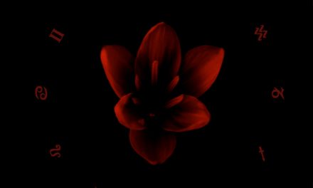 MALACHIM – VITASPHERE – AAA RECORDS