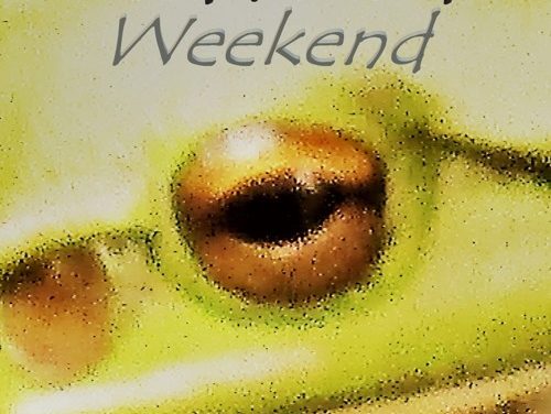 BEVAN MICAL – WEEKEND – INDEPENDENT