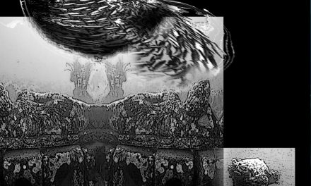 JERRY KING & BRET HART – OBLIQUE OBSERVATIONS – INDEPENDENT