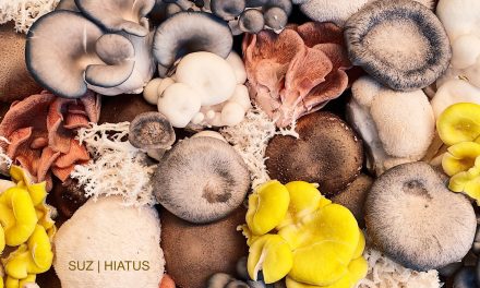 Italian Singer Suz releases her new album “Hiatus”