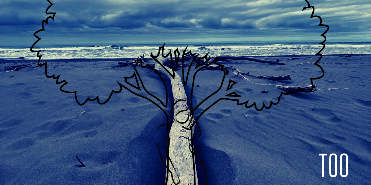 GOODCORZ – TOO MANY TIMES – INDEPENDENT