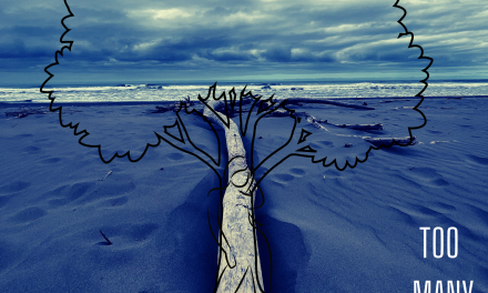 GOODCORZ – TOO MANY TIMES – INDEPENDENT