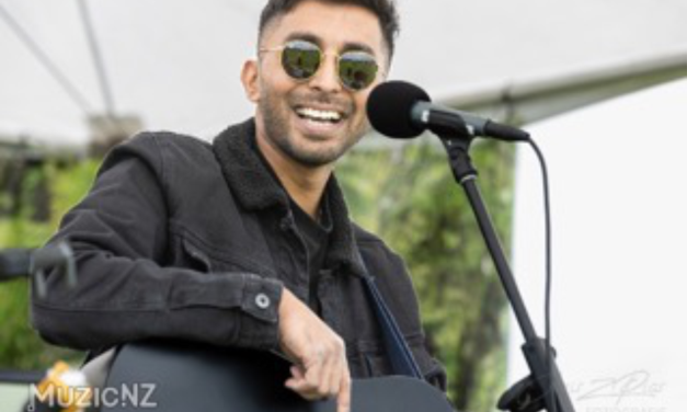 Music In Parks, River Reserve, Helensville     