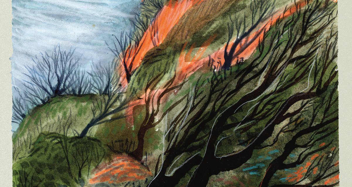 FRENCH FOR RABBITS – IN THE END I WON’T BE COMING HOME – AAA RECORDS