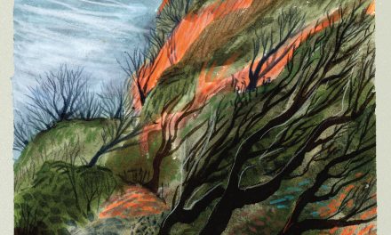 FRENCH FOR RABBITS – IN THE END I WON’T BE COMING HOME – AAA RECORDS