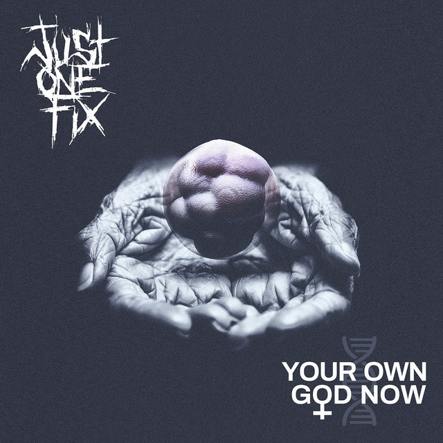 JUST ONE FIX – YOUR OWN GOD NOW – INDEPENDENT | REZONATZ