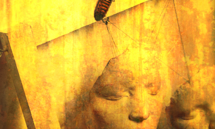 IRISH HARD ROCKERS, VENDETTA LOVE RELEASE POWERHOUSE NEW SINGLE/VIDEO ‘TRACED OUT’.