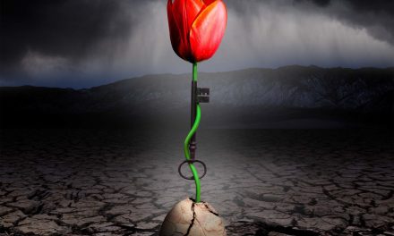 Spock’s Beard announce new album ‘The Archaeoptimist’