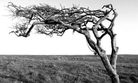 Frostlake – The Weight Of Clouds – Discus Music